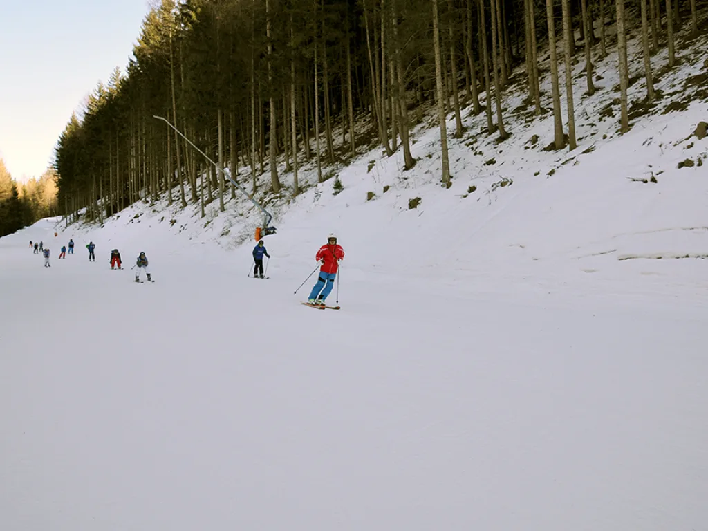 Blick auf die Waldpiste mit einzelnen Fahrenden.